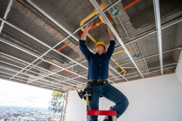 Best Clogged Drain Plumber  in Hutto, TX