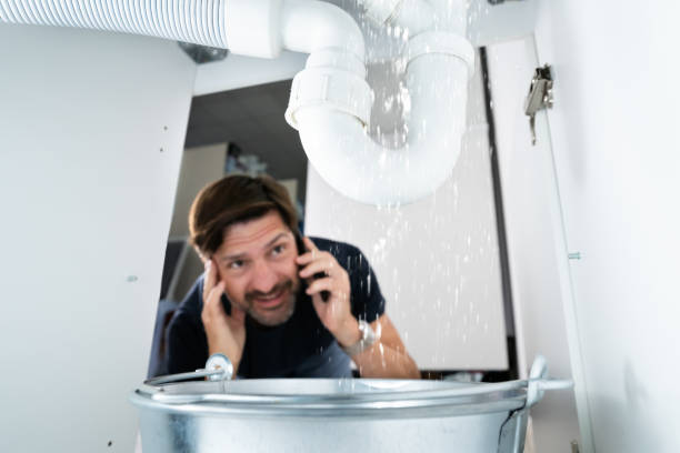 Best Clogged Drain Plumber  in Hutto, TX