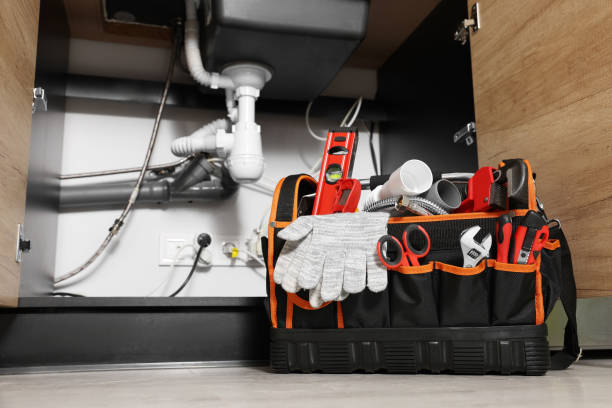 Best Clogged Drain Plumber  in Hutto, TX